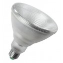 PAR38 LED 15W E27 38° IP65